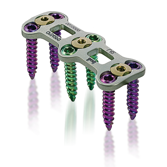 سیستم پلاک گردنی